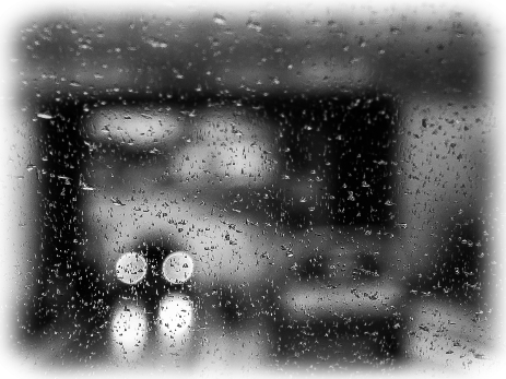 rain - noYvo Fotografie Dresden